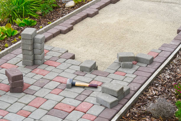 Best Best Driveway Pavers  in Cass City, MI